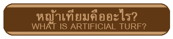 หญ้าเทียม